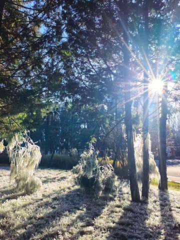 内蒙古新城宾馆图片