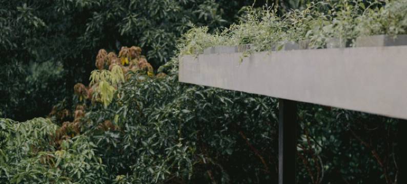 禅意科加拉糖舍(Zen Koggala by Sugar Coliving)图片