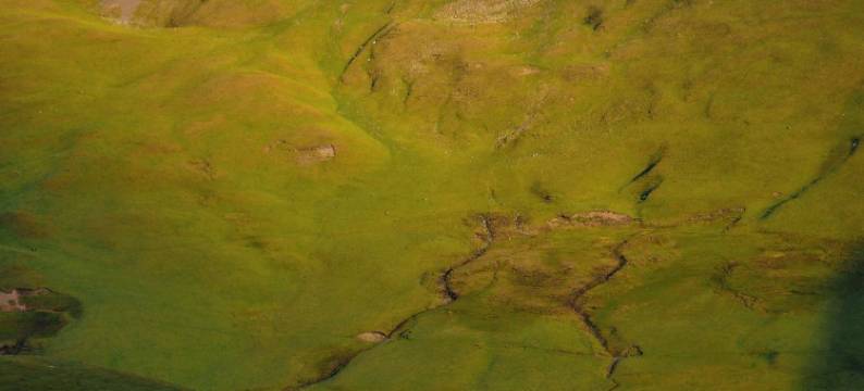 那拉提镇梵野•朴舍FANYEPUSHE民宿图片