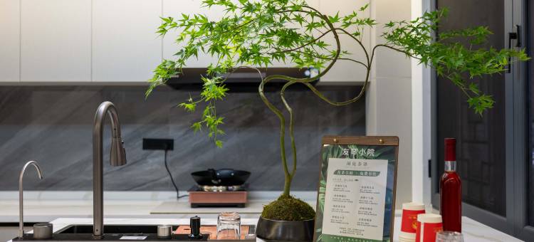 澄江友琴小院(抚仙湖广龙小镇店)图片