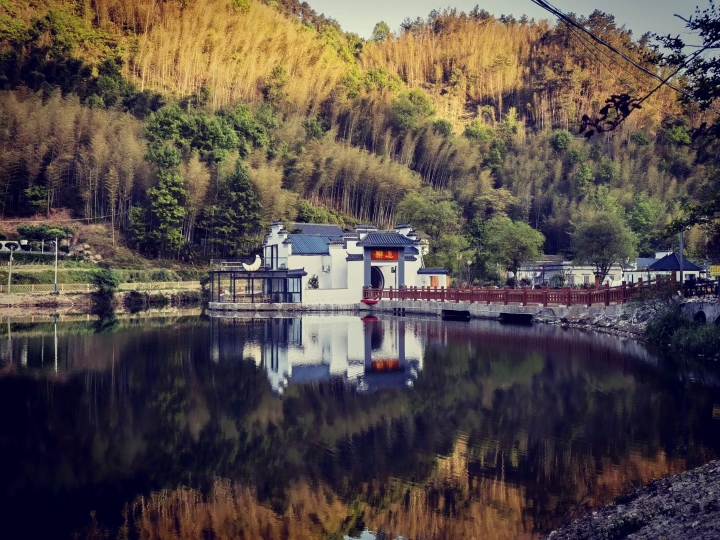 DALE resort Over view