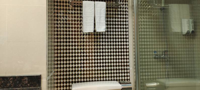 好景商务酒店(东莞虎门南栅店)图片