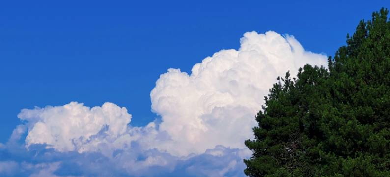 悬崖边边FAMILY度假地·山璞图片