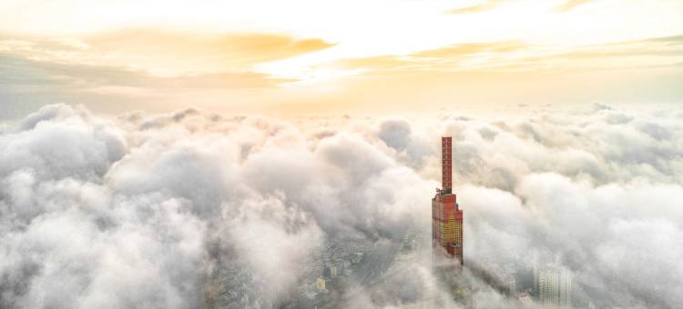 珍珠地标81傲途格精选酒店(Vinpearl Landmark 81, Autograph Collection)图片