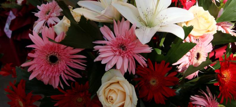 宁洱双鸿民宿图片