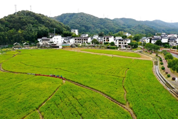 DAOXIWAN  HOT SPRING HOMESTAY Hotel Overview