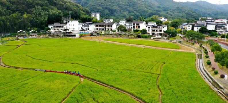 广州稻喜湾温泉民宿图片
