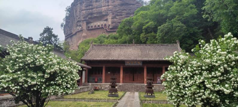 骆驼王子民宿(麦积山石窟景区店)图片