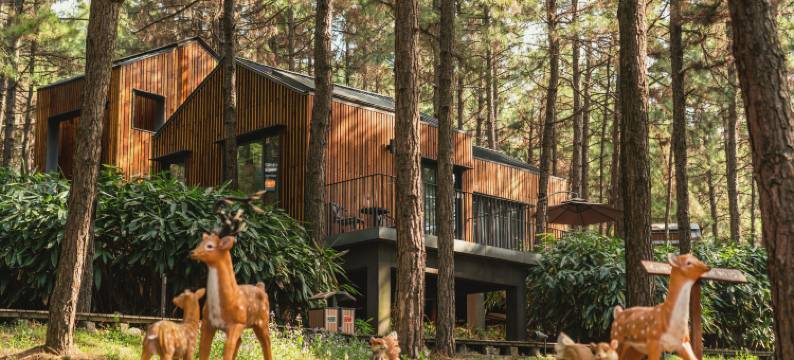 南京枕松度假酒店图片