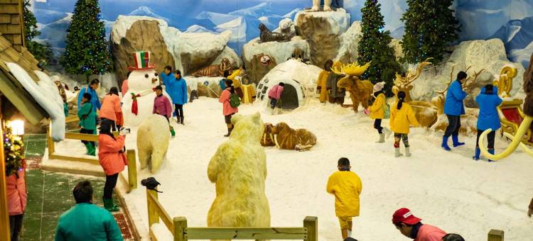 塔拉公园瑞索特酒店(Tara Park Resotel)图片