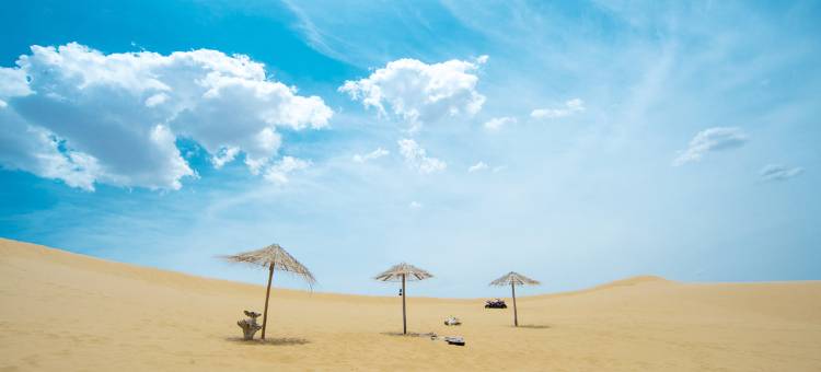 大漠·月下云端沙漠观星酒店图片