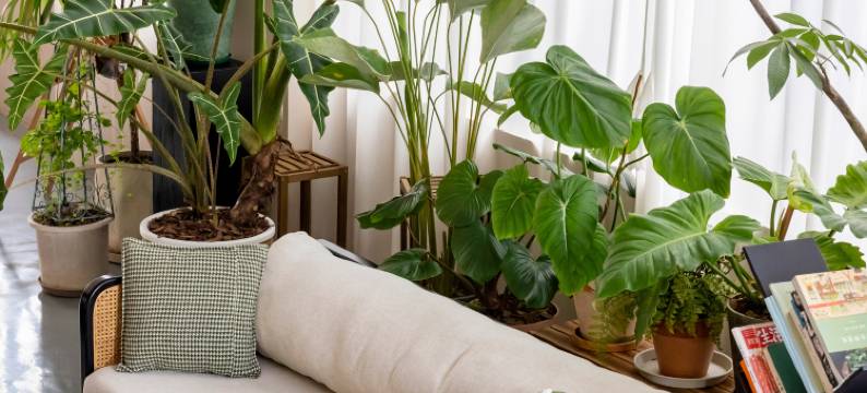 芒市日光山舍民宿图片