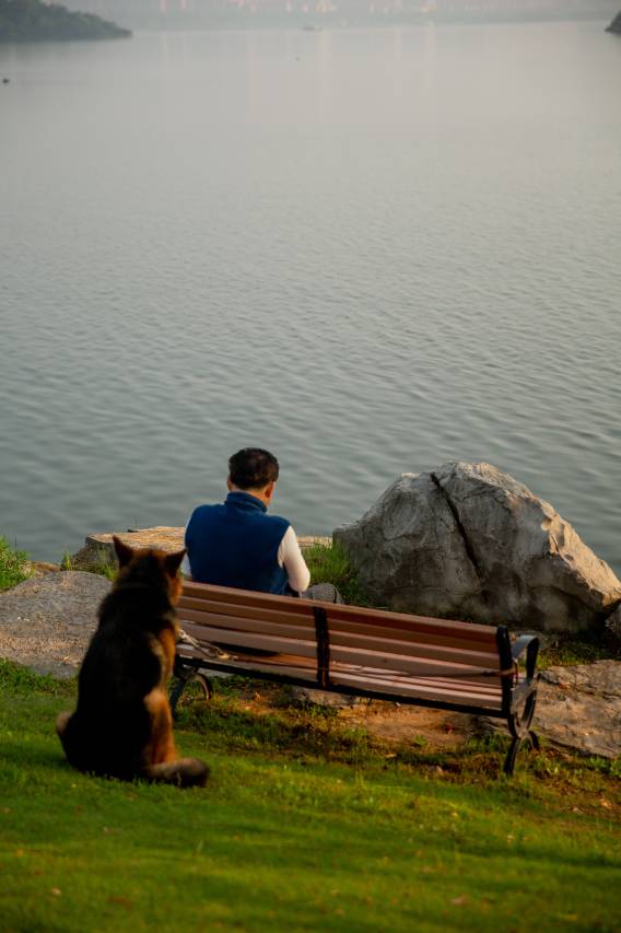 巴陵·邕湖庄园酒店(洞庭湖中华熊猫苑店)图片