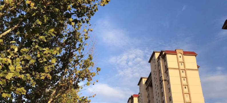 霍尔果斯瑞泊酒店图片