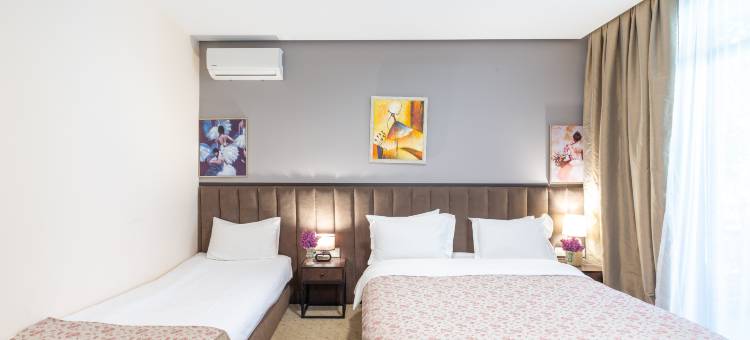 艾莉亚老第比利斯酒店(Elea Old Tbilisi Hotel)图片