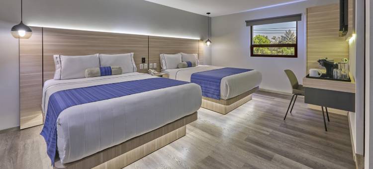 卡利拉拉萨墨西哥城(Kali La Raza Mexico City)图片