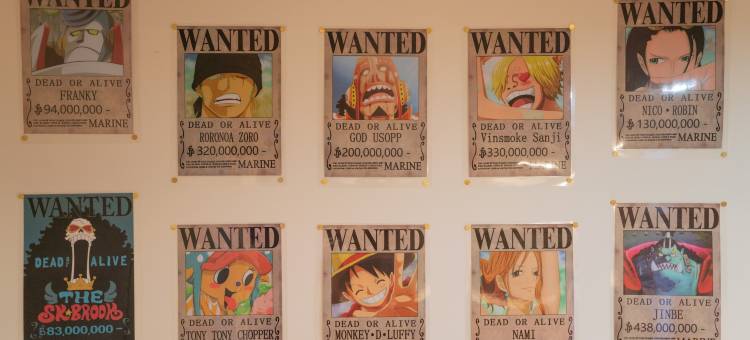 フォルモント寺田町204 - 海贼王主题公寓，寺田町站步行8分(Baden² MINPAKU STYLE～ART～TERADACHO - One Piece themed apartment, 8 mins to Teradacho Station)图片