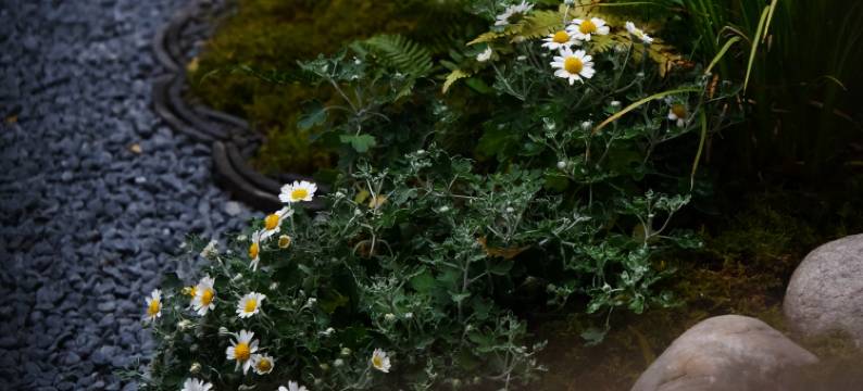 重构空间民宿(扬州仁丰里店)图片