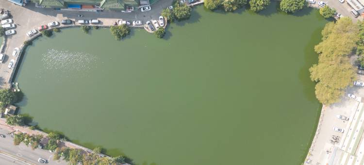 天悦酒店(贵港高铁站东湖店)图片