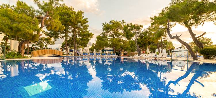 Amara舒适度假村(Amara Comfort Resort)图片