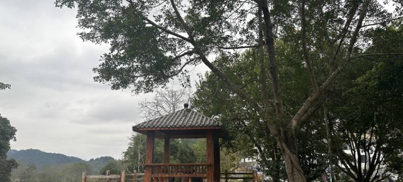巴马雲逸客栈图片