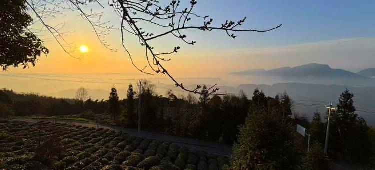 蒙顶山且守云归民宿图片