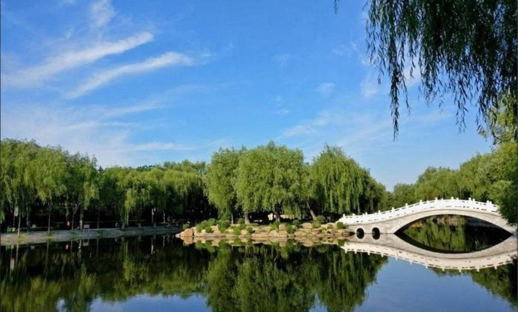 长春乐府维景酒店(人民广场火车站店)图片