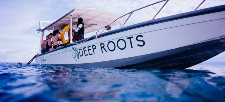 深根潜水和瑜伽度假村(Deep Roots Dive & Yoga Resort)图片