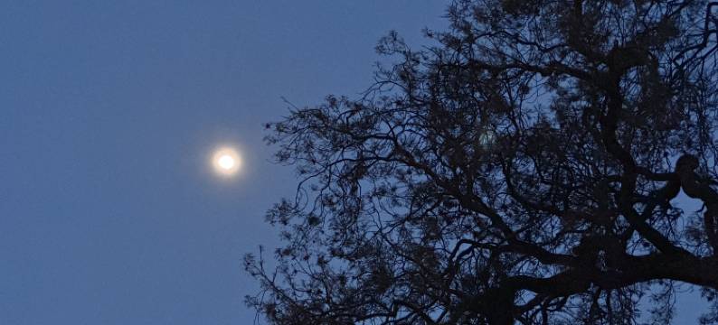 沙溪古镇花生民宿图片