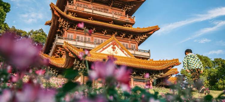 陶邑梨园酒店(陶溪川创意广场陶阳里店)图片