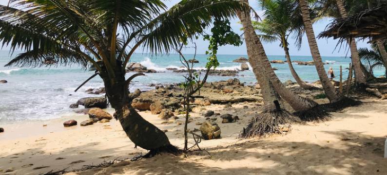 米迪加马拉姆的冲浪海滩旅馆(Surfescape Sri Lanka)图片