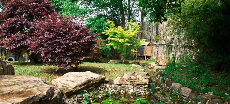 咕咚夫妇的小院图片