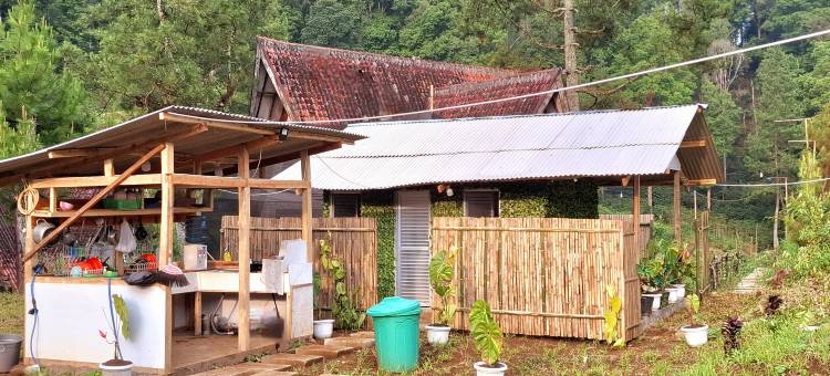 丛林别墅奇维迪(Ciwidey Jungle Camp & Villa)图片