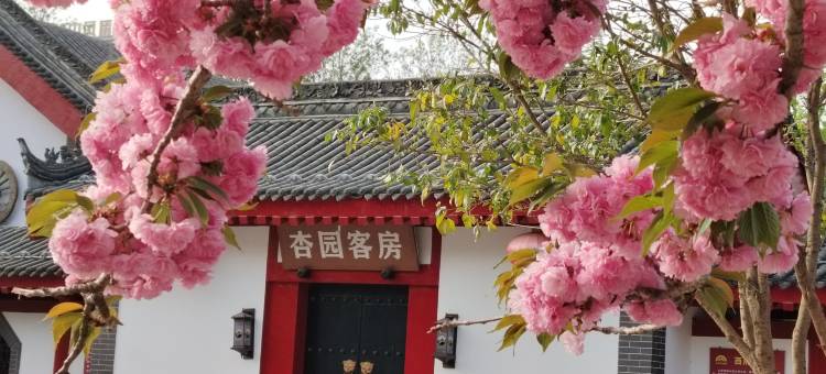 扶风关中风情园图片
