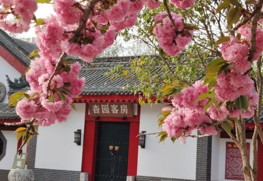 Guanzhong Customs GardenHotel Overview