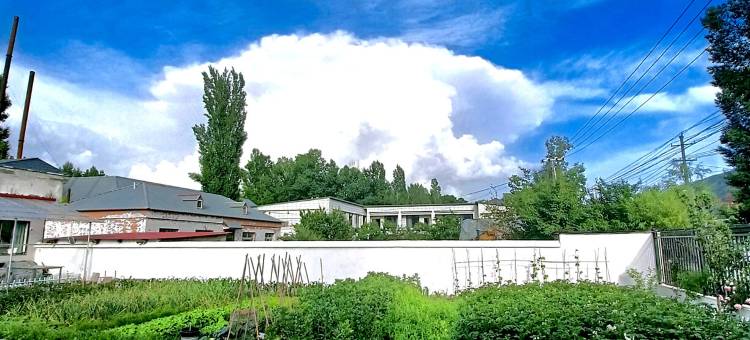 尼勒克|得鹿梦鱼·Homestay民宿(蜜蜂小镇店)图片