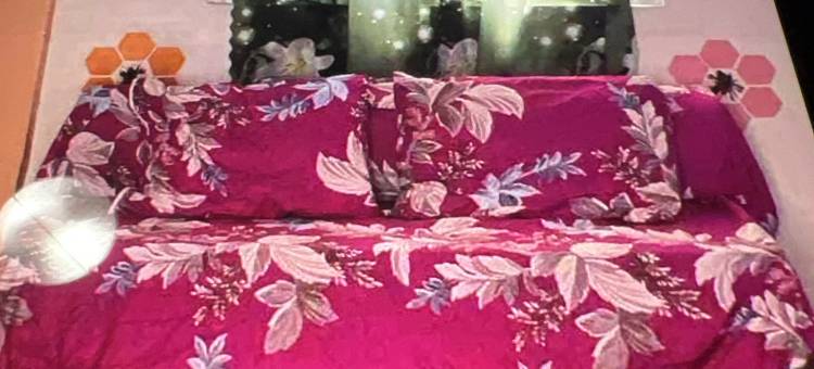 DC Travellers Inn图片