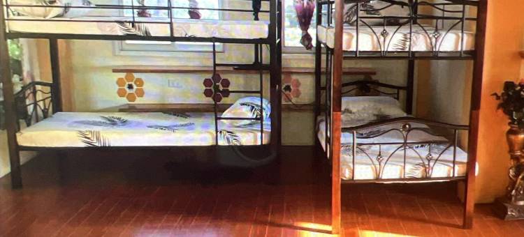 DC Travellers Inn图片