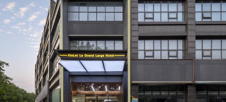 岳阳紫罗兰·东璟酒店(岳阳火车站岳阳楼区店)图片