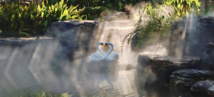 苏州金陵南林饭店图片