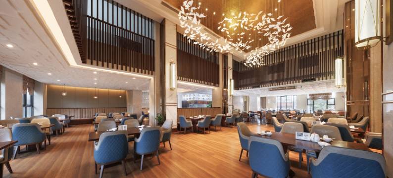 海口宝丰国际酒店(美兰国际机场店)图片