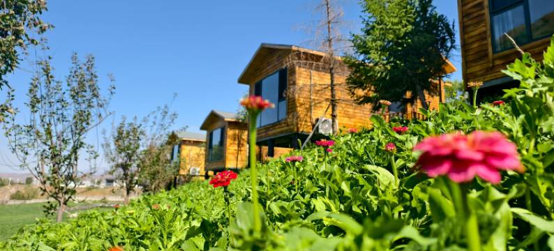 尼勒克蜂巢印象民宿图片