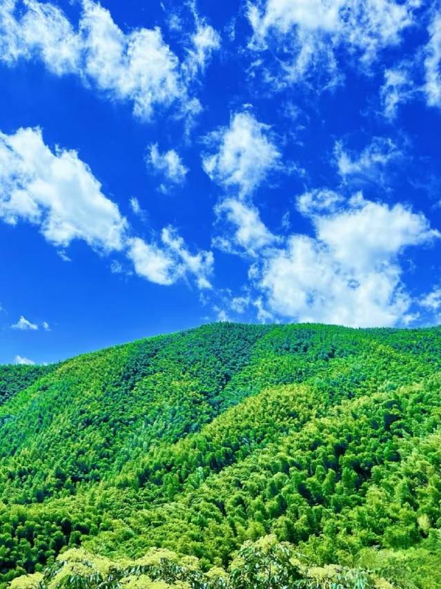 莫干山隐花坞·泳池度假民宿图片