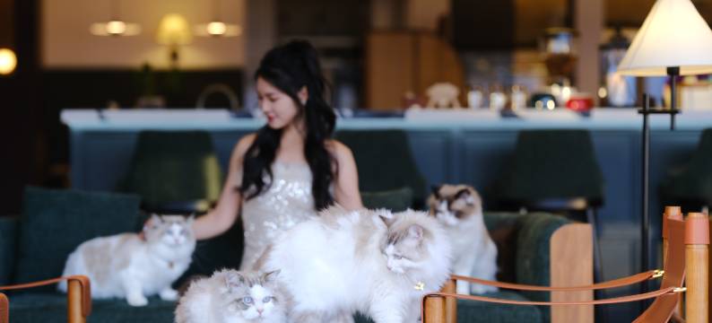 大理未岸·inflow半山海景酒店图片