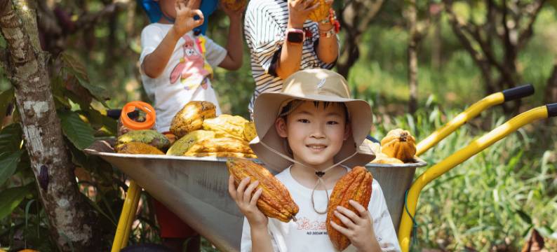 海南石梅湾艾美度假酒店图片