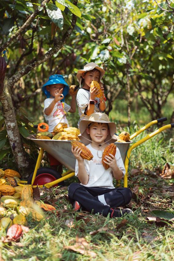 海南石梅湾艾美度假酒店图片