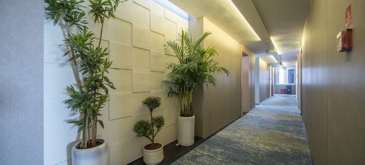 锦欢酒店(高铁北站万晟天街店)图片