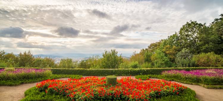 多艾乐威多尔酒店(Hotel do Elevador)图片