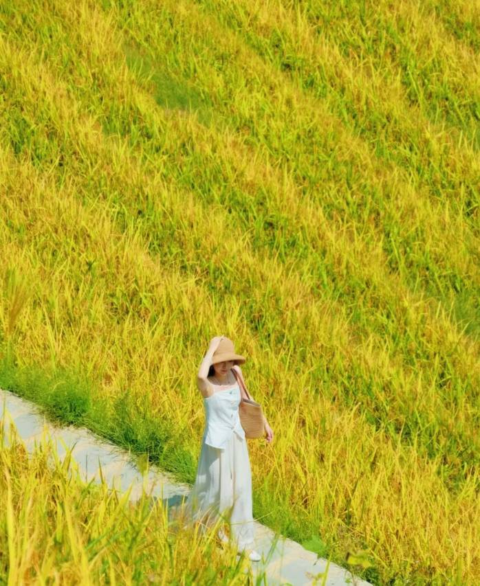 御野·千层畔全景美宿(龙脊梯田二号观景台店)图片