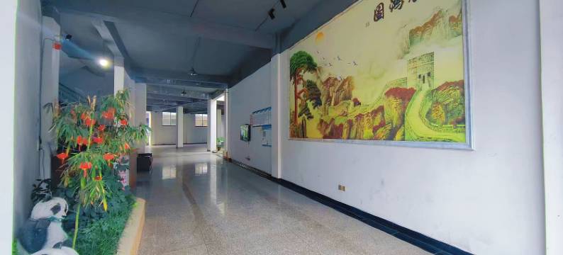 芦山姜城熊猫酒店图片